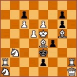 Különdíj Sakkélet 1992