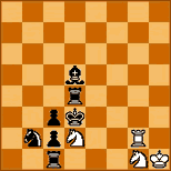 Schweizerische Schachzeitung, 1979. I. díj