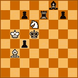 FIDE-verseny, 1972-75. 13. hely