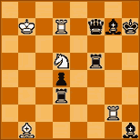 Magyar Sakkélet, 1981. I. díj