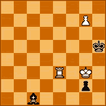 www.magyarsakkszerzok.com-2006
