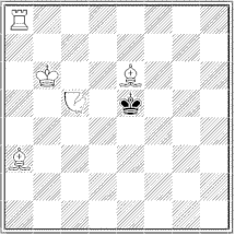 contranightriderhopper